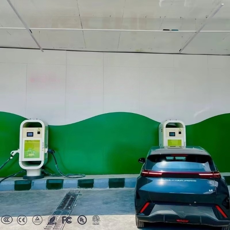 EU-standaard EV-lader snellaad - Ev Charging Pile recensie en prijs